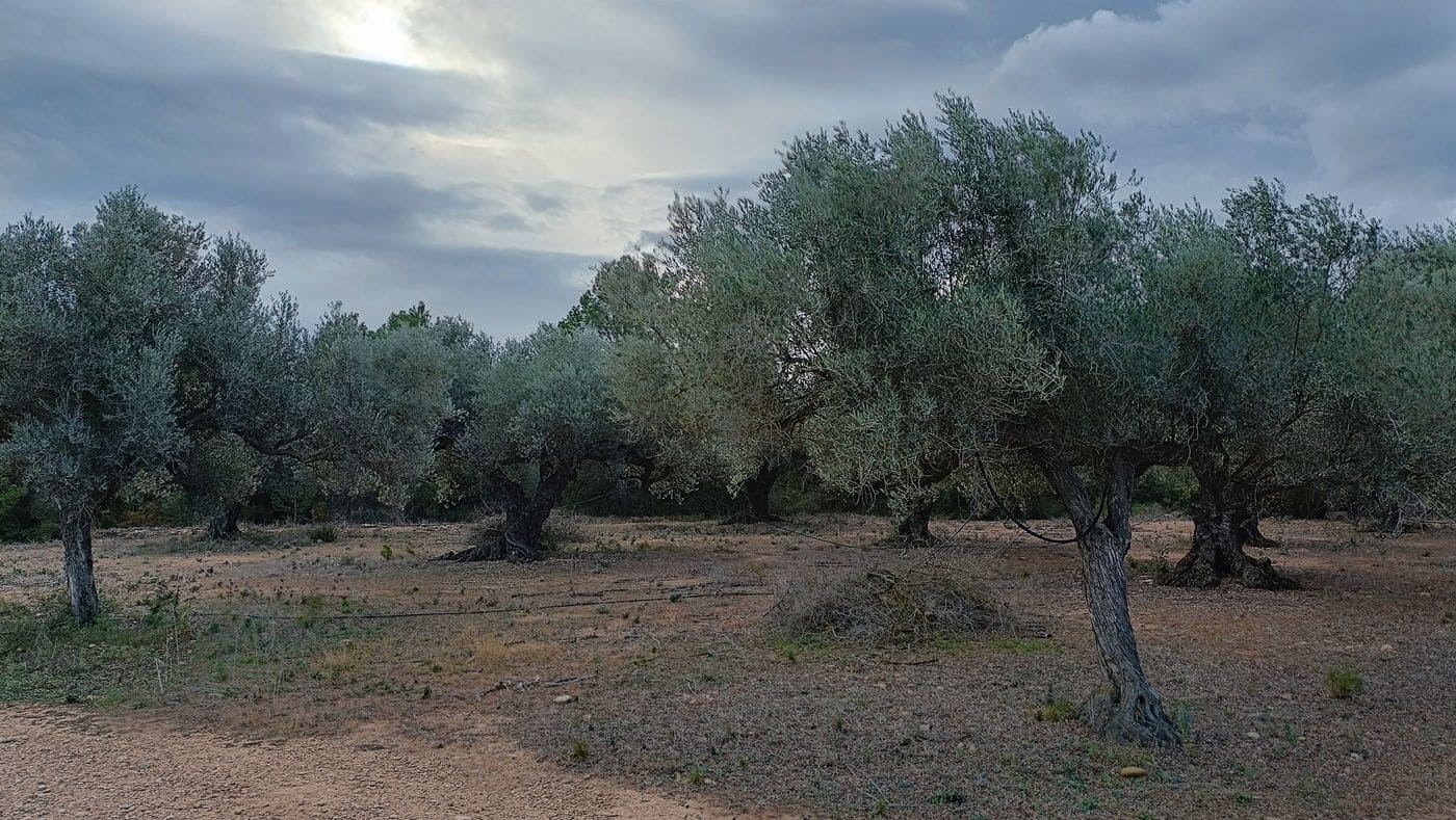 Finca/Country House for sale in Rasquera - € 35,000 (Ref: 9617932)