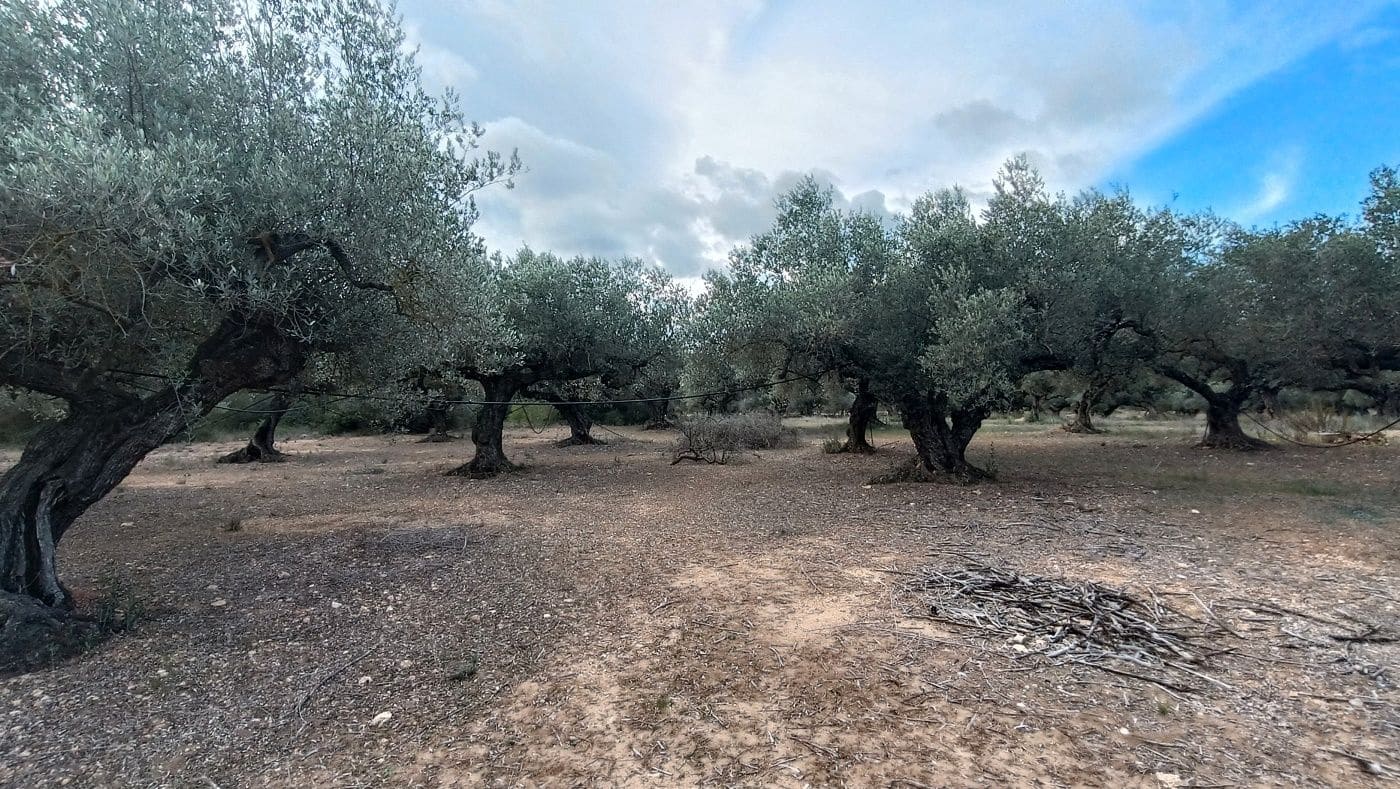 Finca/Country House for sale in Rasquera - € 35,000 (Ref: 9617932)