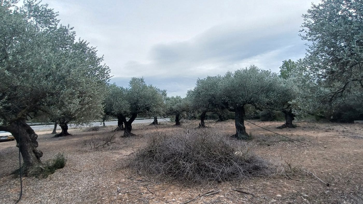 Finca/Country House for sale in Rasquera - € 35,000 (Ref: 9617932)