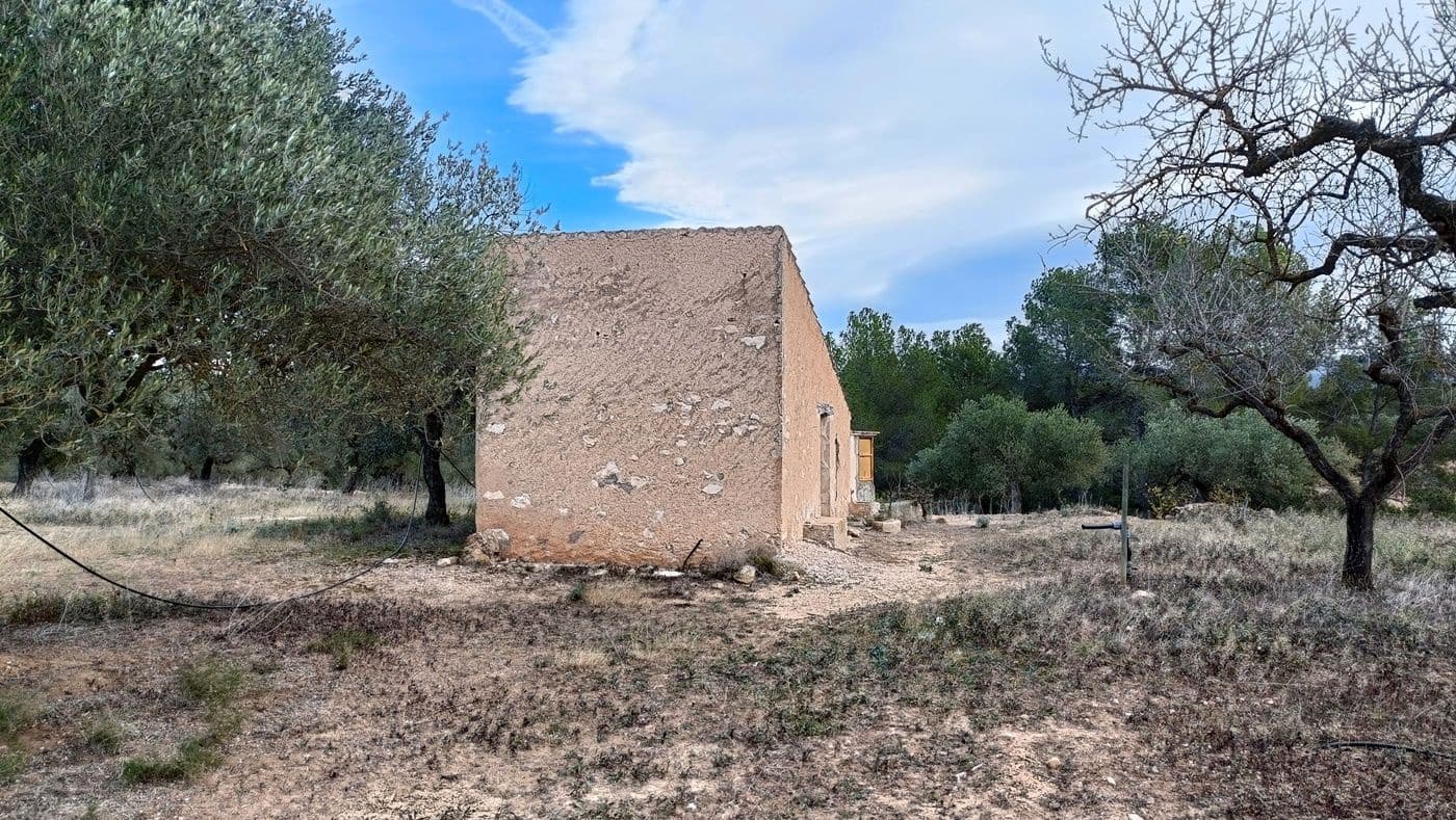Finca/Country House for sale in Rasquera - € 35,000 (Ref: 9617932)