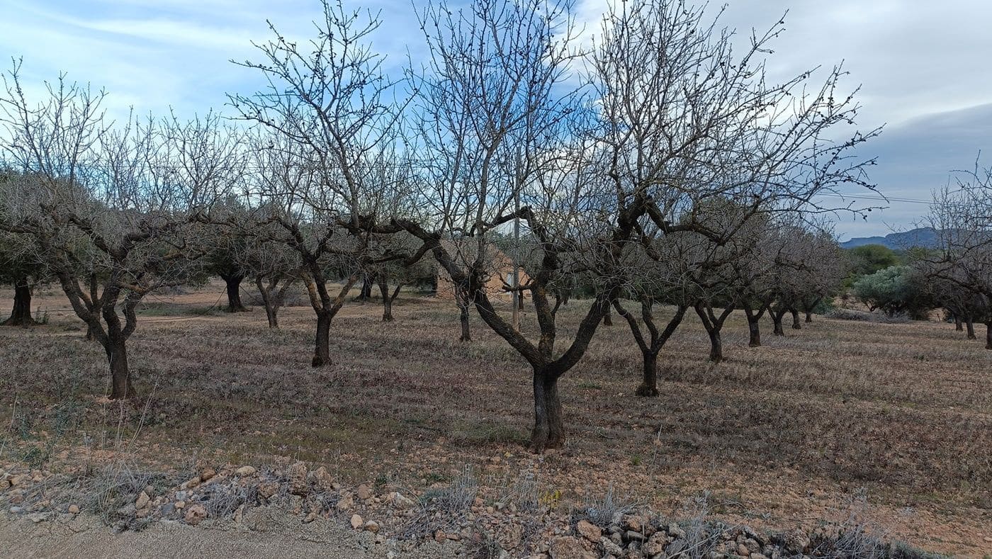 Finca/Country House for sale in Rasquera - € 35,000 (Ref: 9617932)