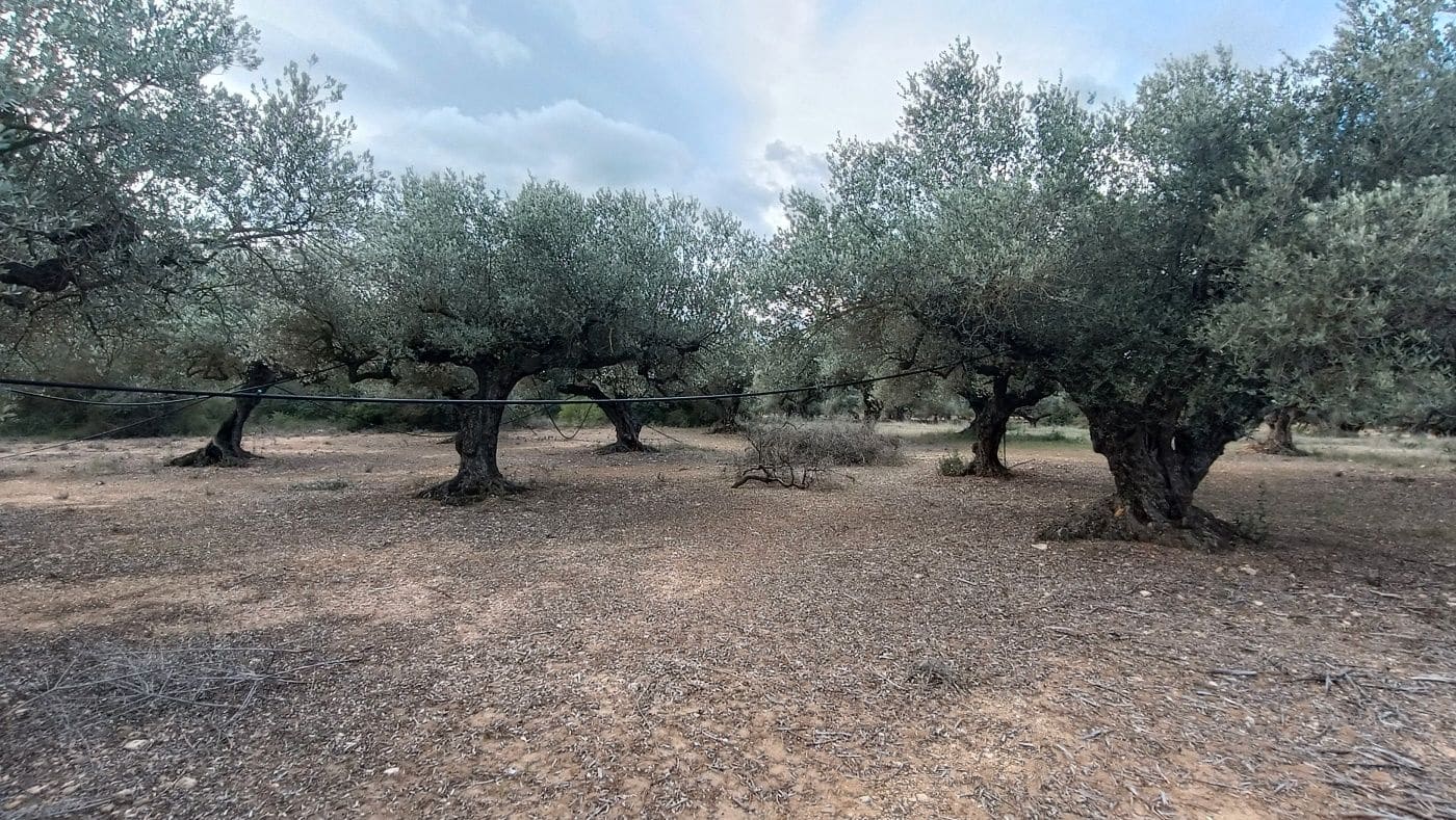 Finca/Country House for sale in Rasquera - € 35,000 (Ref: 9617932)