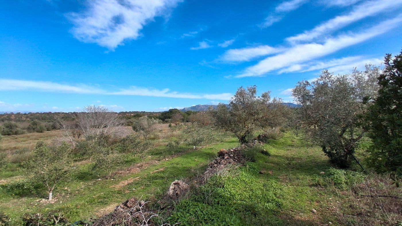 Finca/Casa Rural de 1 habitación en Rasquera en venta - 170.000 € (Ref: 9617933)