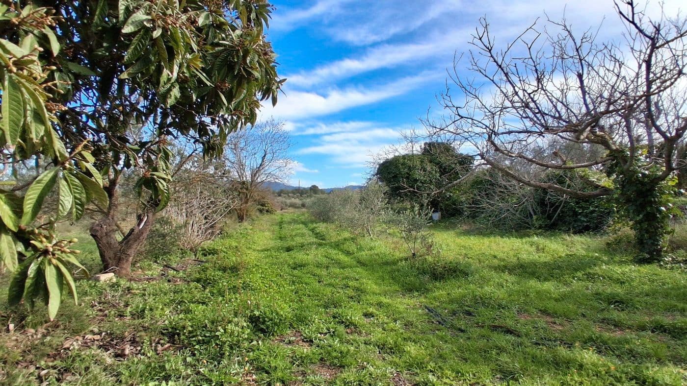 Finca/Casa Rural de 1 habitación en Rasquera en venta - 170.000 € (Ref: 9617933)