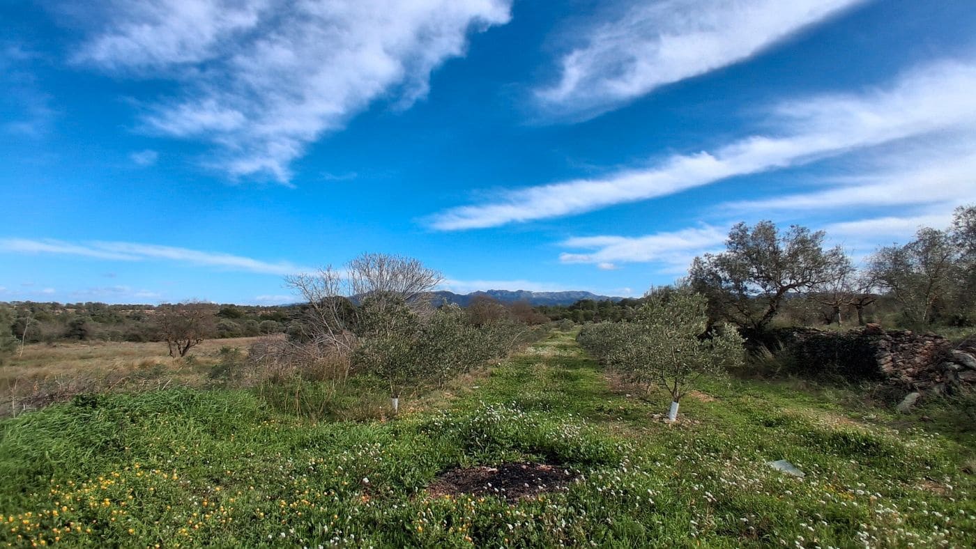 Finca/Casa Rural de 1 habitación en Rasquera en venta - 170.000 € (Ref: 9617933)