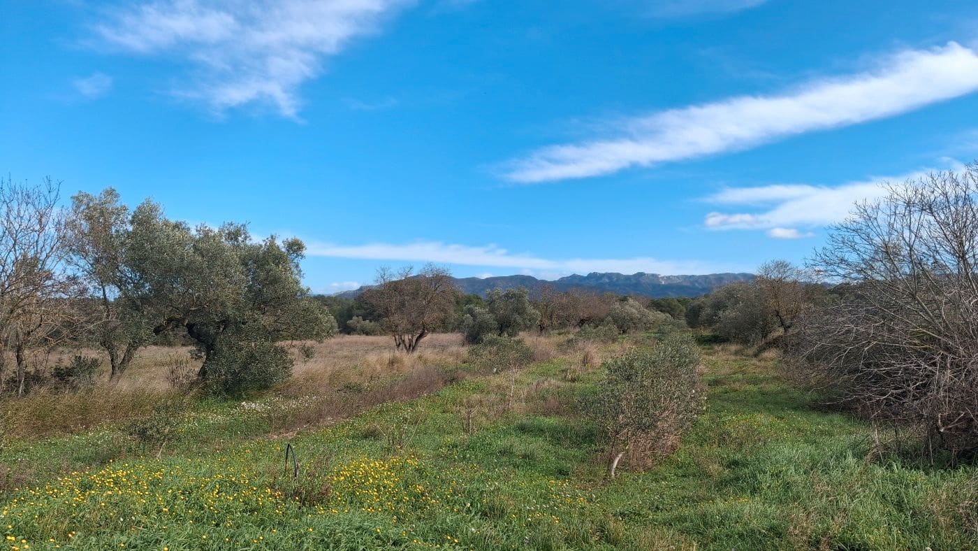 Finca/Casa Rural de 1 habitación en Rasquera en venta - 170.000 € (Ref: 9617933)
