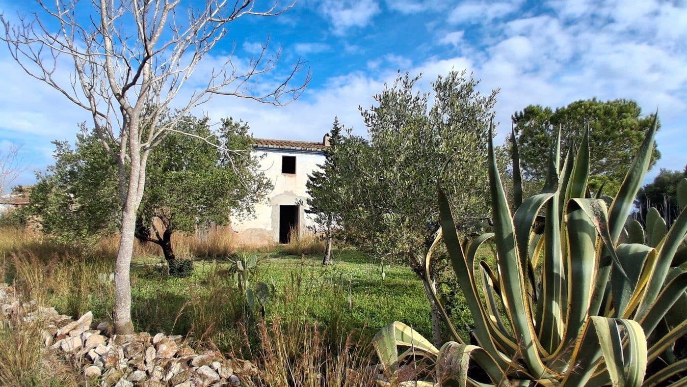 1 bedroom Finca/Country House for sale in L'Ampolla - € 170,000 (Ref: 9617934)