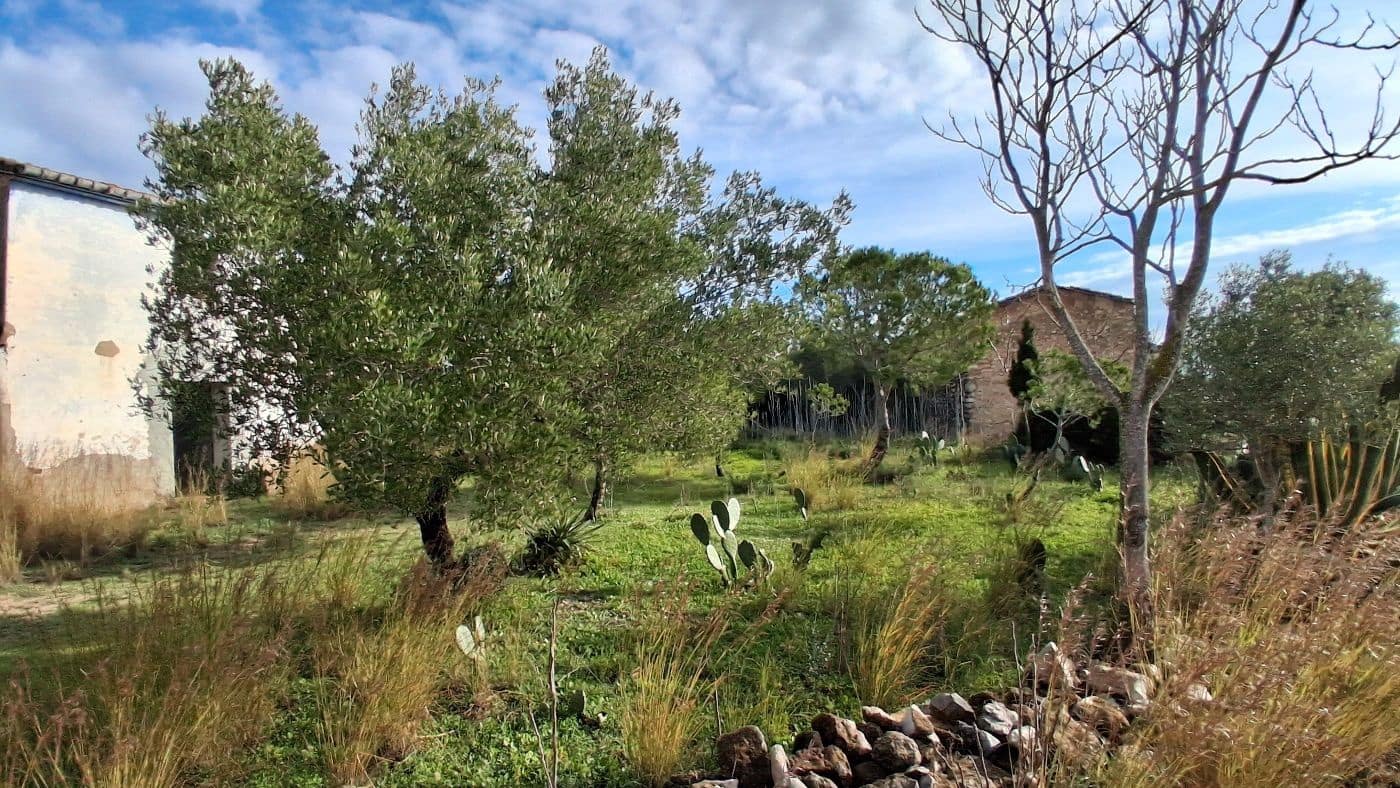 1 bedroom Finca/Country House for sale in L'Ampolla - € 170,000 (Ref: 9617934)