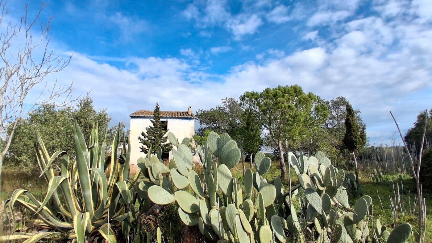 1 bedroom Finca/Country House for sale in L'Ampolla - € 170,000 (Ref: 9617934)