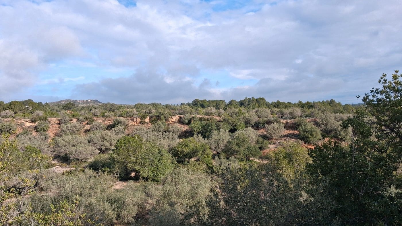 1 bedroom Finca/Country House for sale in L'Ampolla - € 170,000 (Ref: 9617934)