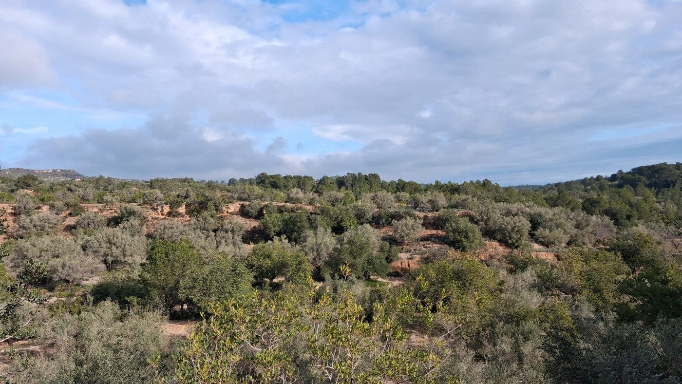 1 bedroom Finca/Country House for sale in L'Ampolla - € 170,000 (Ref: 9617934)