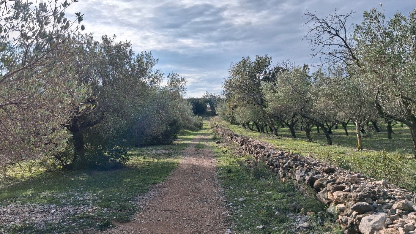 1 bedroom Finca/Country House for sale in L'Ampolla - € 170,000 (Ref: 9617934)