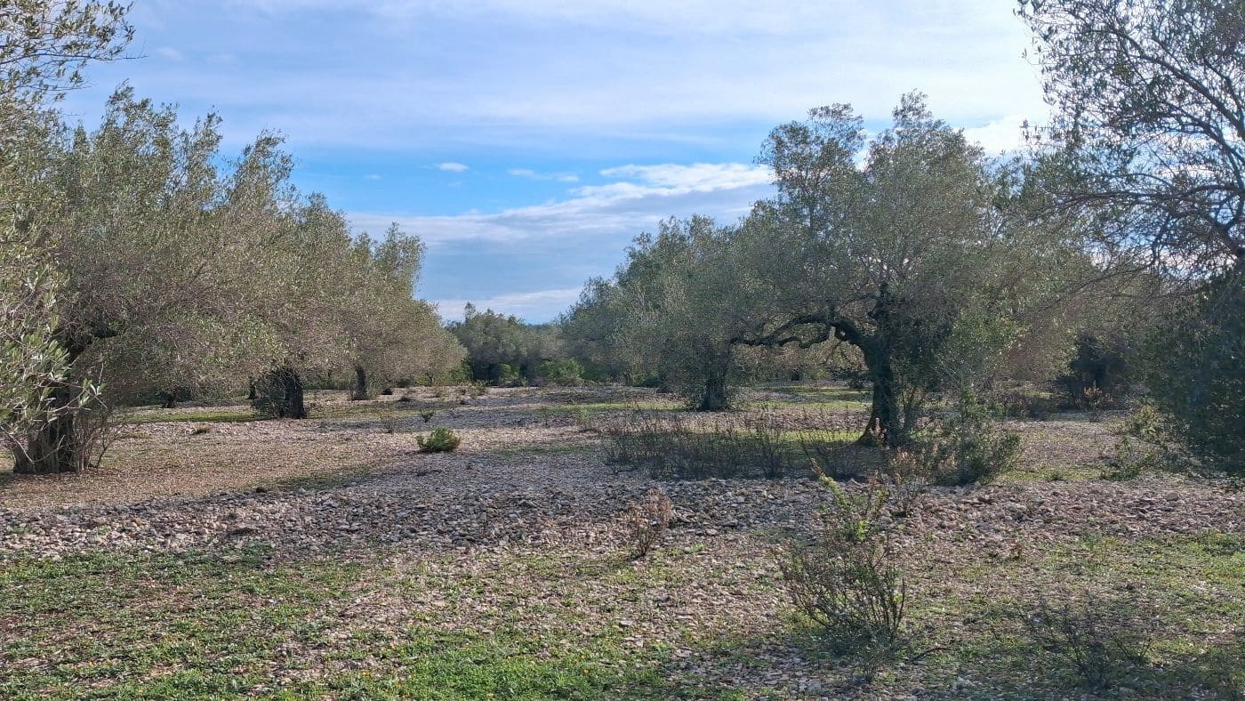 1 bedroom Finca/Country House for sale in L'Ampolla - € 170,000 (Ref: 9617934)