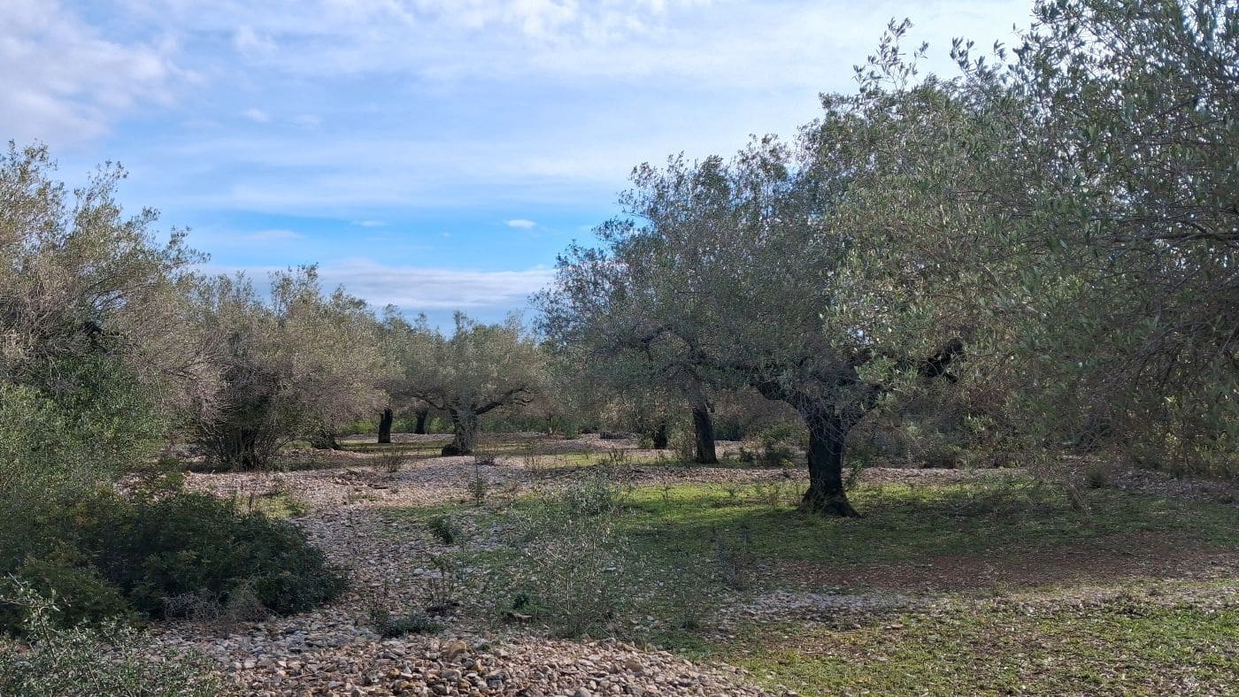 1 bedroom Finca/Country House for sale in L'Ampolla - € 170,000 (Ref: 9617934)