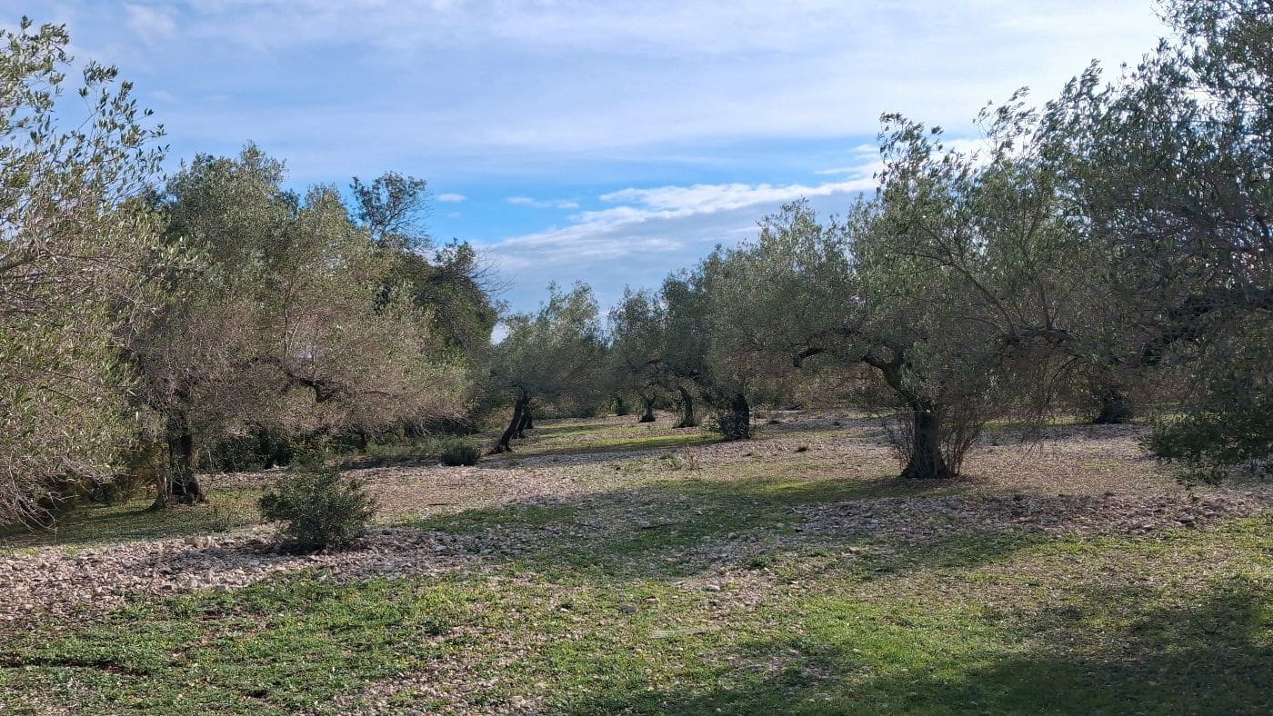 1 bedroom Finca/Country House for sale in L'Ampolla - € 170,000 (Ref: 9617934)