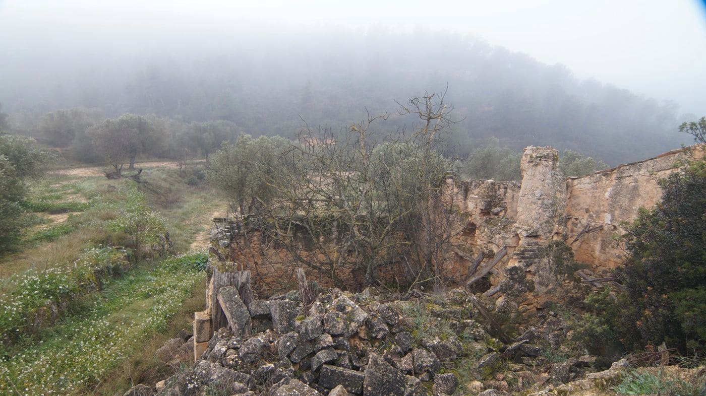 Finka/Dom wiejski na sprzedaż w Batea - 195 000 € (Ref: 9617936)