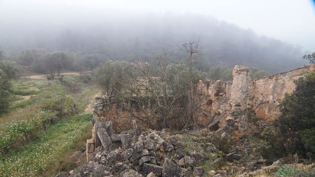 Finka/Dom wiejski na sprzedaż w Batea - 195 000 € (Ref: 9617936)