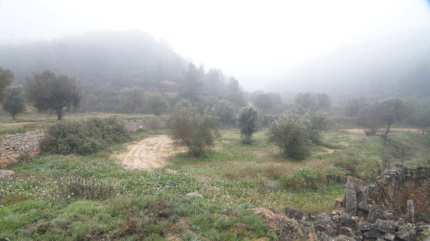 Finka/Dom wiejski na sprzedaż w Batea - 195 000 € (Ref: 9617936)