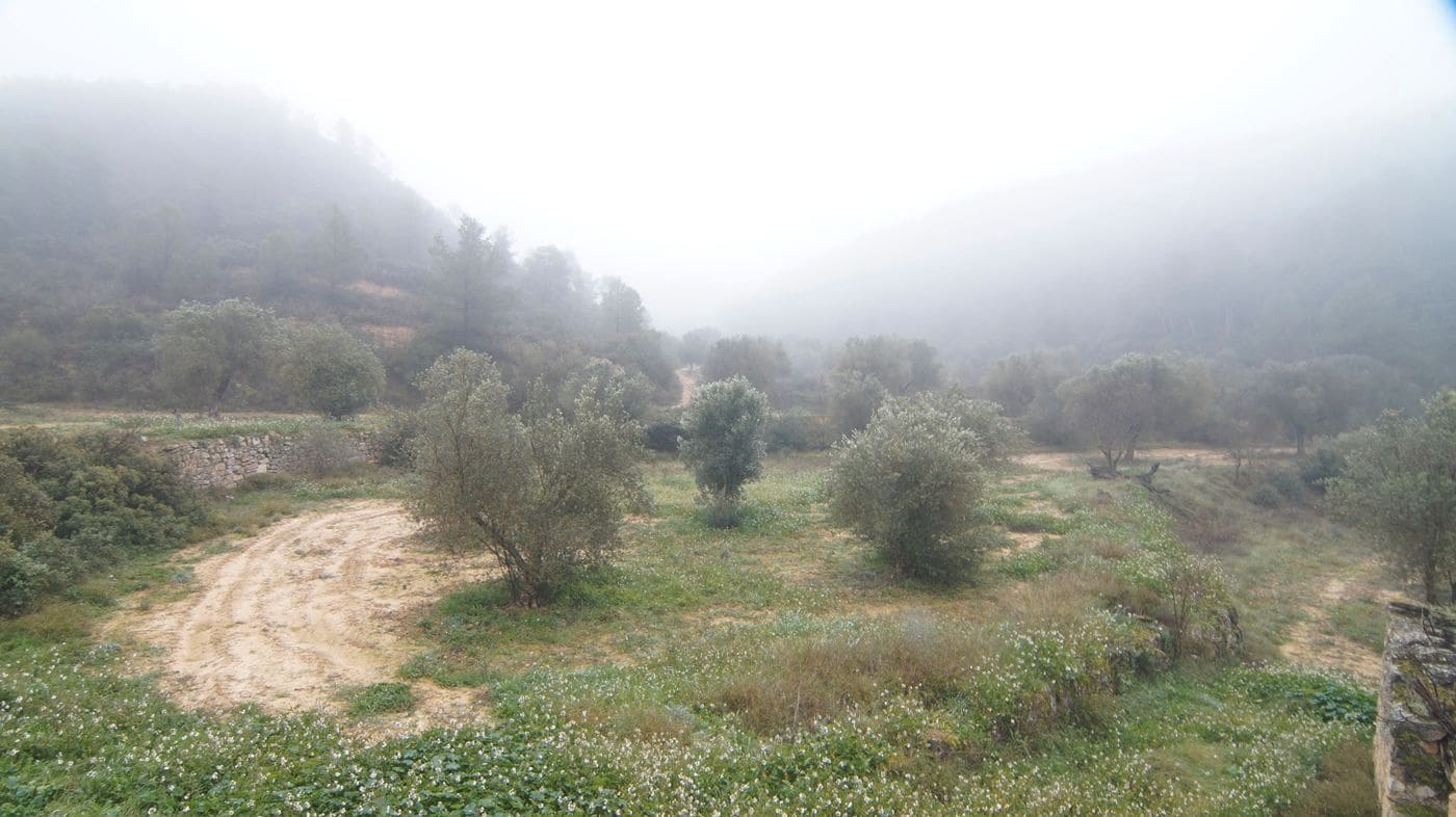 Finka/Dom wiejski na sprzedaż w Batea - 195 000 € (Ref: 9617936)