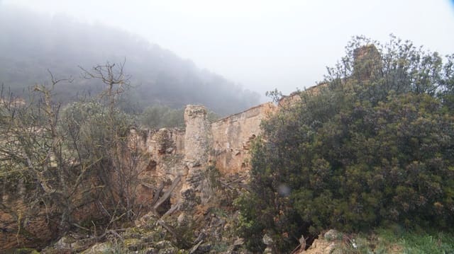 Finka/Dom wiejski na sprzedaż w Batea - 195 000 € (Ref: 9617936)