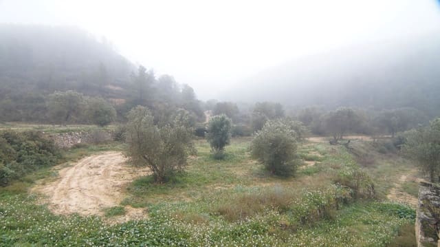 Finka/Dom wiejski na sprzedaż w Batea - 195 000 € (Ref: 9617936)