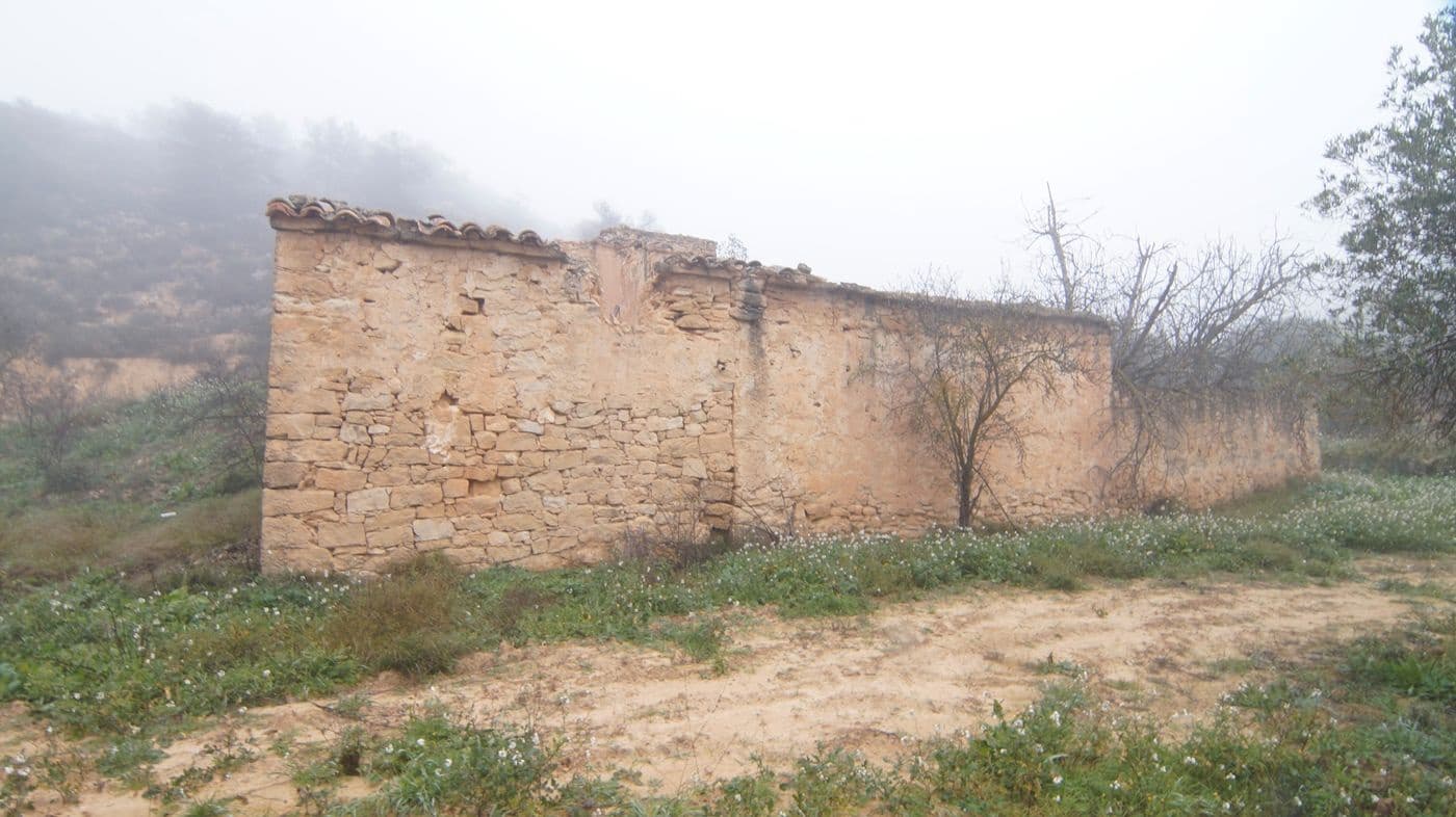 Finka/Dom wiejski na sprzedaż w Batea - 195 000 € (Ref: 9617936)