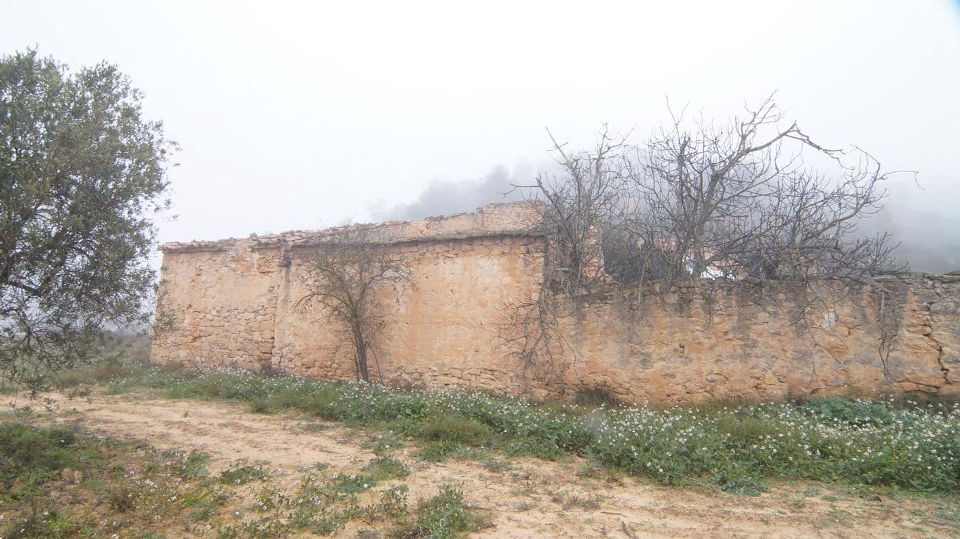 Finka/Dom wiejski na sprzedaż w Batea - 195 000 € (Ref: 9617936)