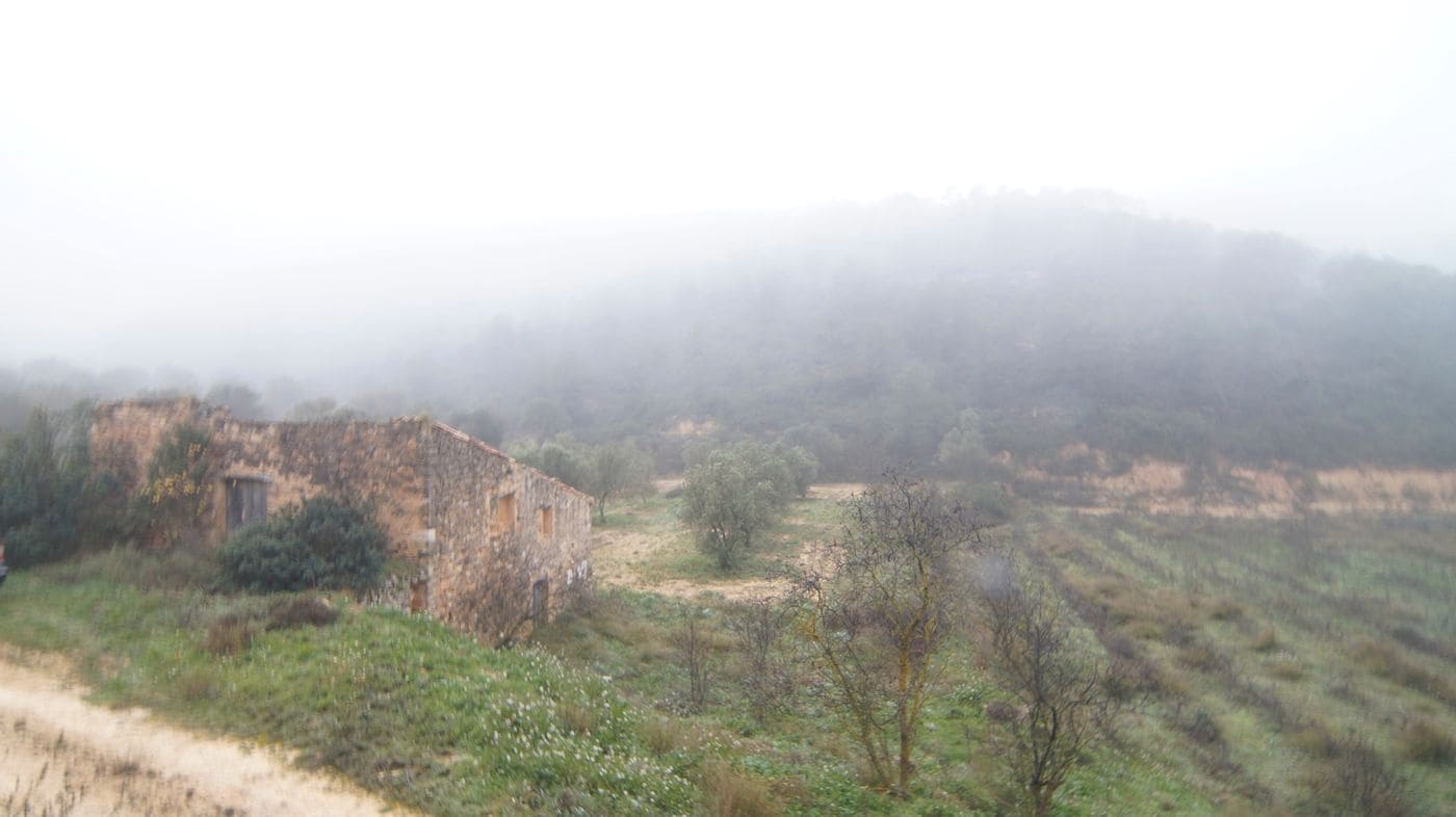 Finka/Dom wiejski na sprzedaż w Batea - 195 000 € (Ref: 9617936)