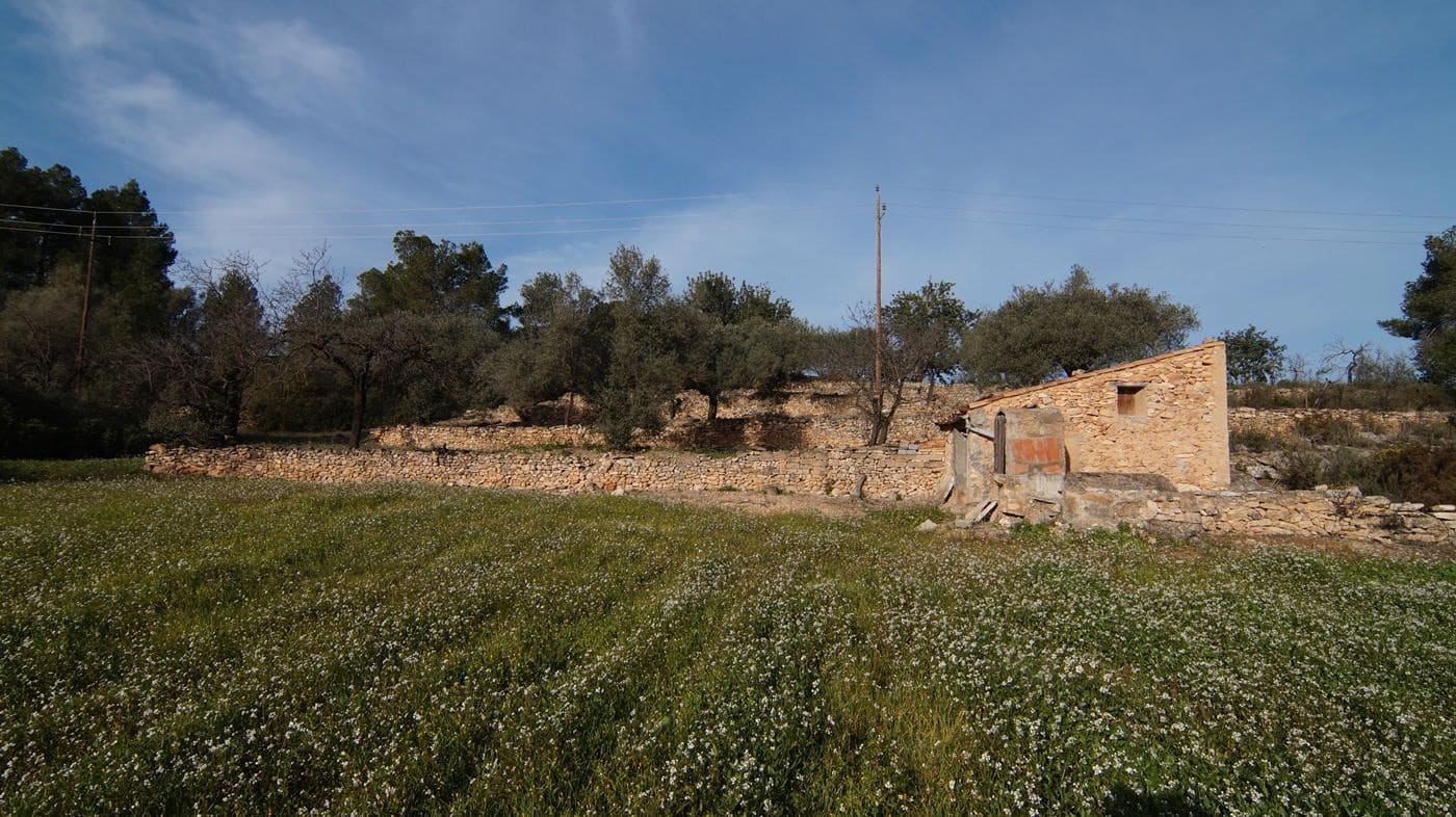 Finka/Dom wiejski na sprzedaż w Rasquera - 25 000 € (Ref: 9617937)