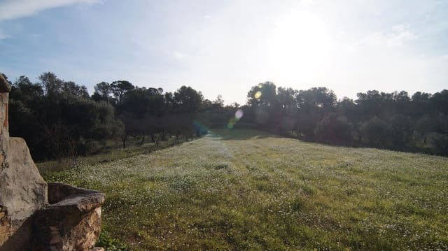 Finka/Dom wiejski na sprzedaż w Rasquera - 25 000 € (Ref: 9617937)