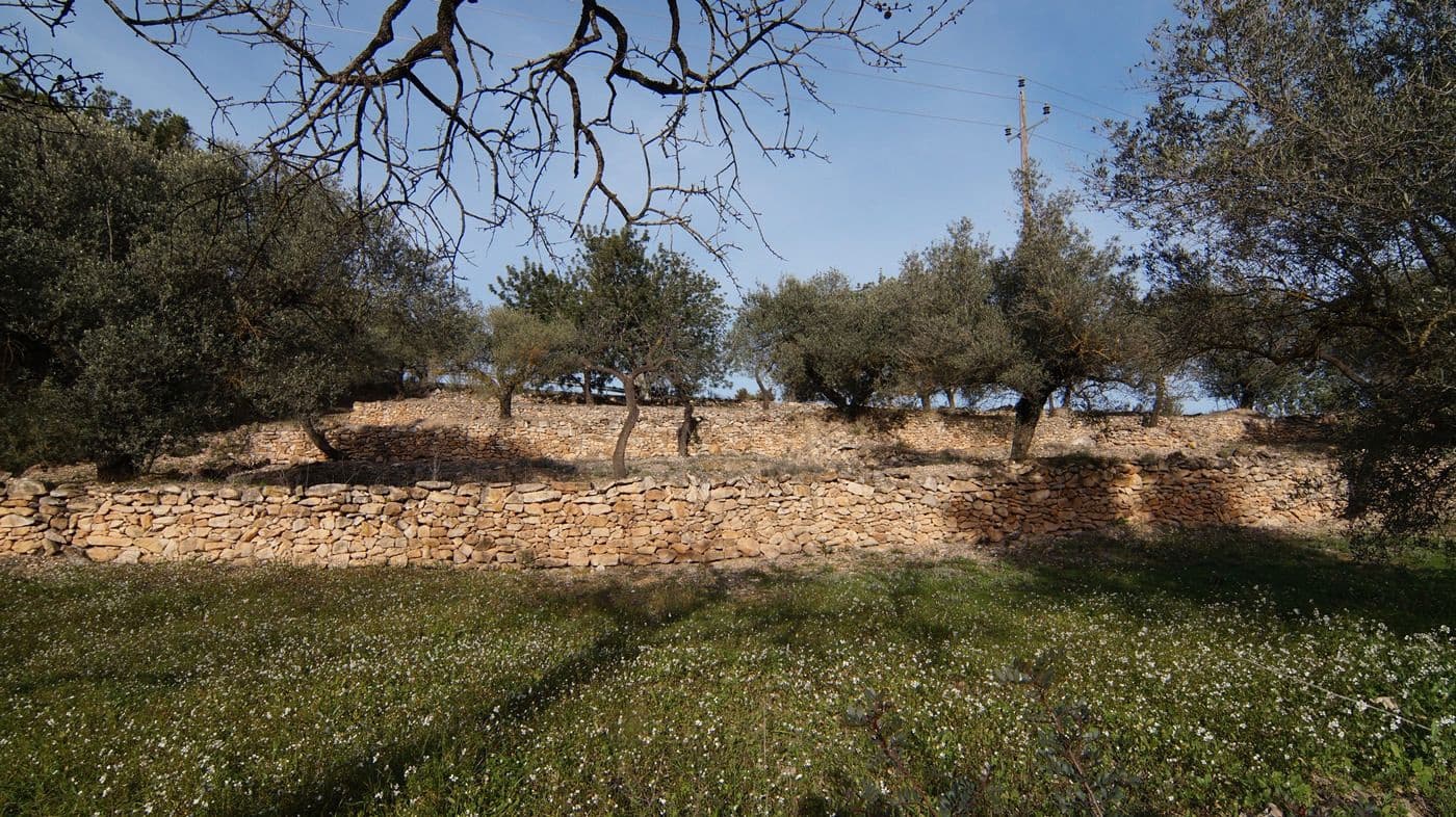 Finka/Dom wiejski na sprzedaż w Rasquera - 25 000 € (Ref: 9617937)