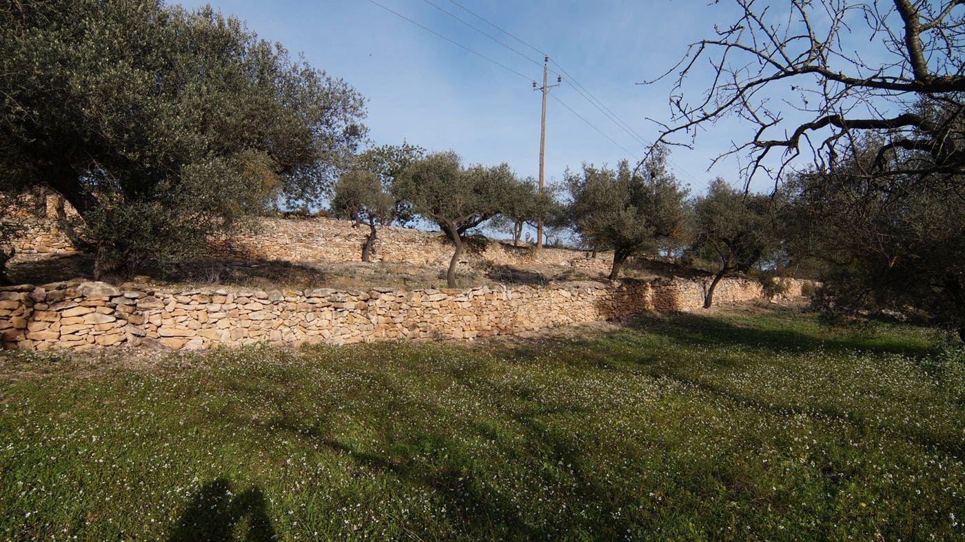 Finka/Dom wiejski na sprzedaż w Rasquera - 25 000 € (Ref: 9617937)