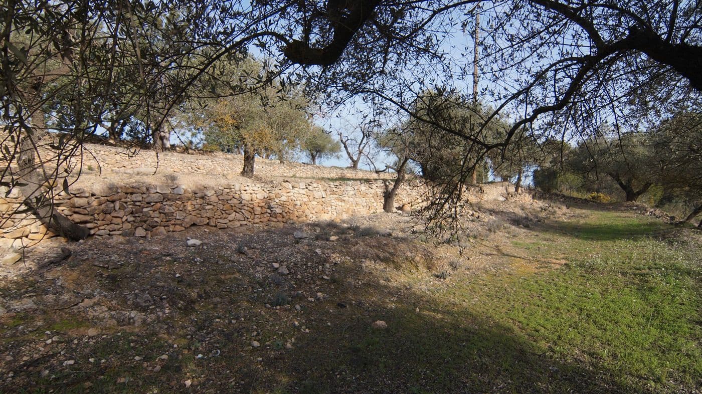 Finka/Dom wiejski na sprzedaż w Rasquera - 25 000 € (Ref: 9617937)