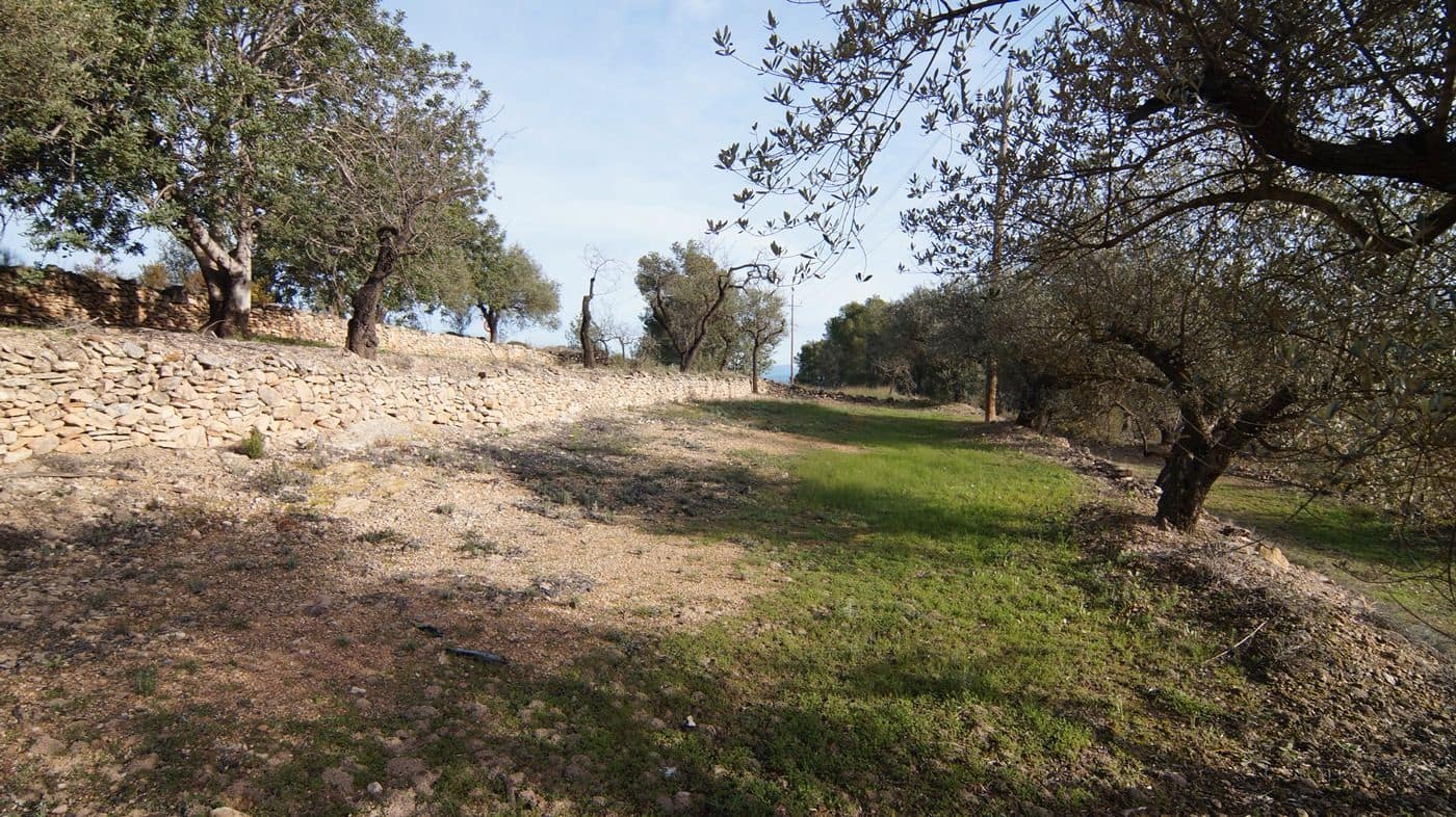 Finka/Dom wiejski na sprzedaż w Rasquera - 25 000 € (Ref: 9617937)