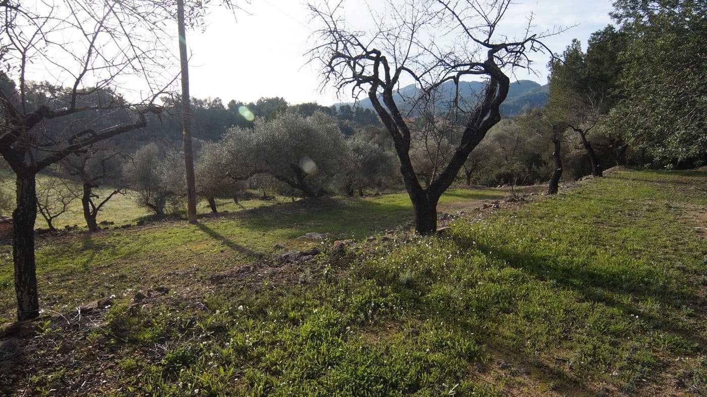 Finka/Dom wiejski na sprzedaż w Rasquera - 25 000 € (Ref: 9617937)