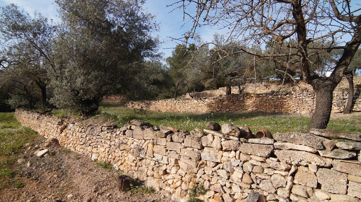 Finka/Dom wiejski na sprzedaż w Rasquera - 25 000 € (Ref: 9617937)