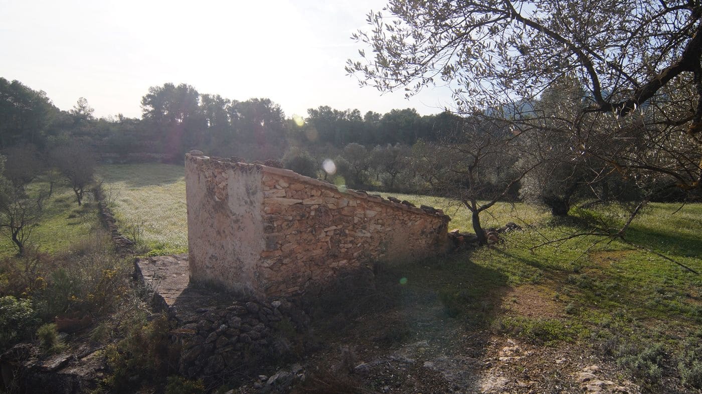 Finka/Dom wiejski na sprzedaż w Rasquera - 25 000 € (Ref: 9617937)