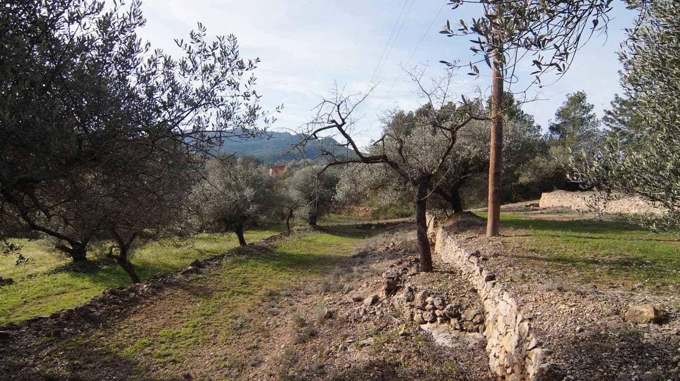 Finka/Dom wiejski na sprzedaż w Rasquera - 25 000 € (Ref: 9617937)