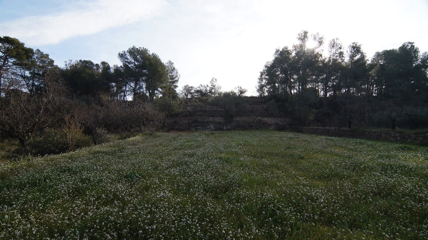 Finka/Dom wiejski na sprzedaż w Rasquera - 25 000 € (Ref: 9617937)