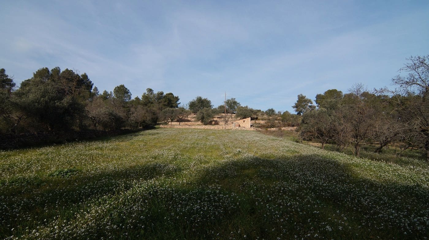 Finka/Dom wiejski na sprzedaż w Rasquera - 25 000 € (Ref: 9617937)