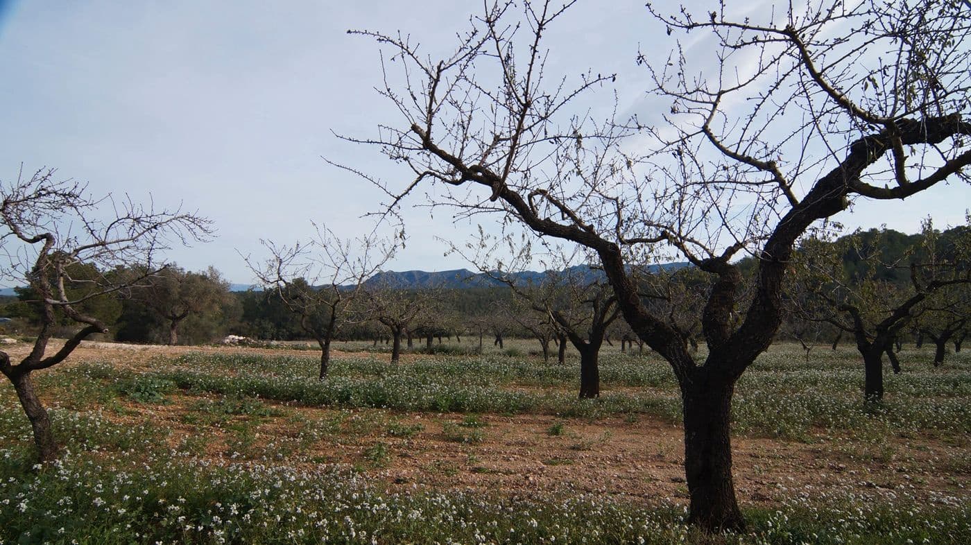 Finka/Dom wiejski na sprzedaż w Rasquera - 35 000 € (Ref: 9617938)