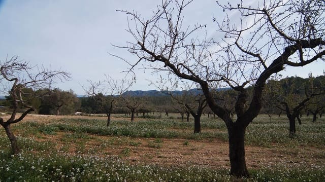 Finka/Dom wiejski na sprzedaż w Rasquera - 35 000 € (Ref: 9617938)