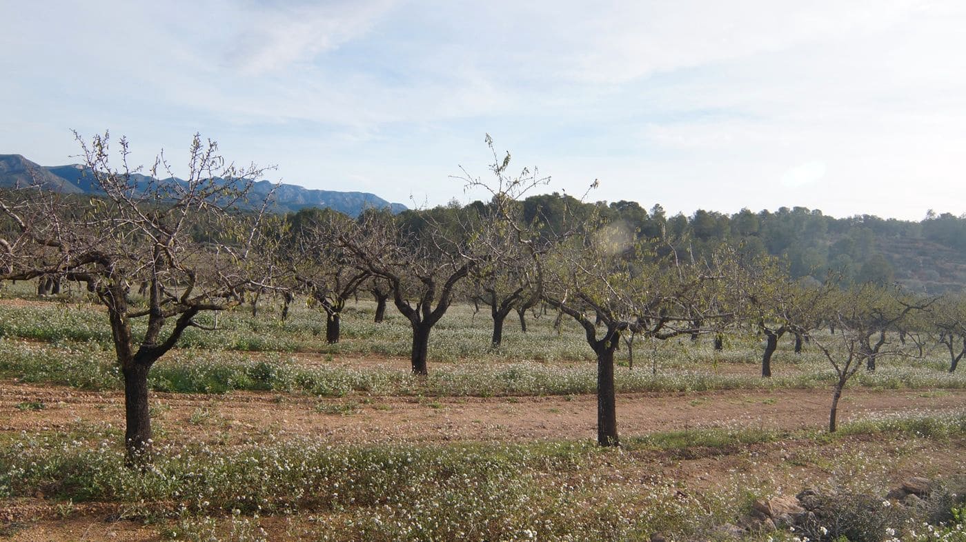 Finka/Dom wiejski na sprzedaż w Rasquera - 35 000 € (Ref: 9617938)