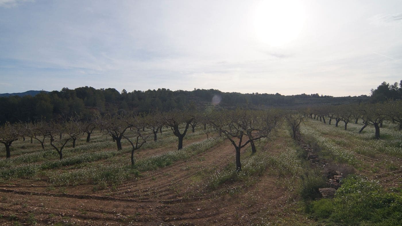 Finka/Dom wiejski na sprzedaż w Rasquera - 35 000 € (Ref: 9617938)