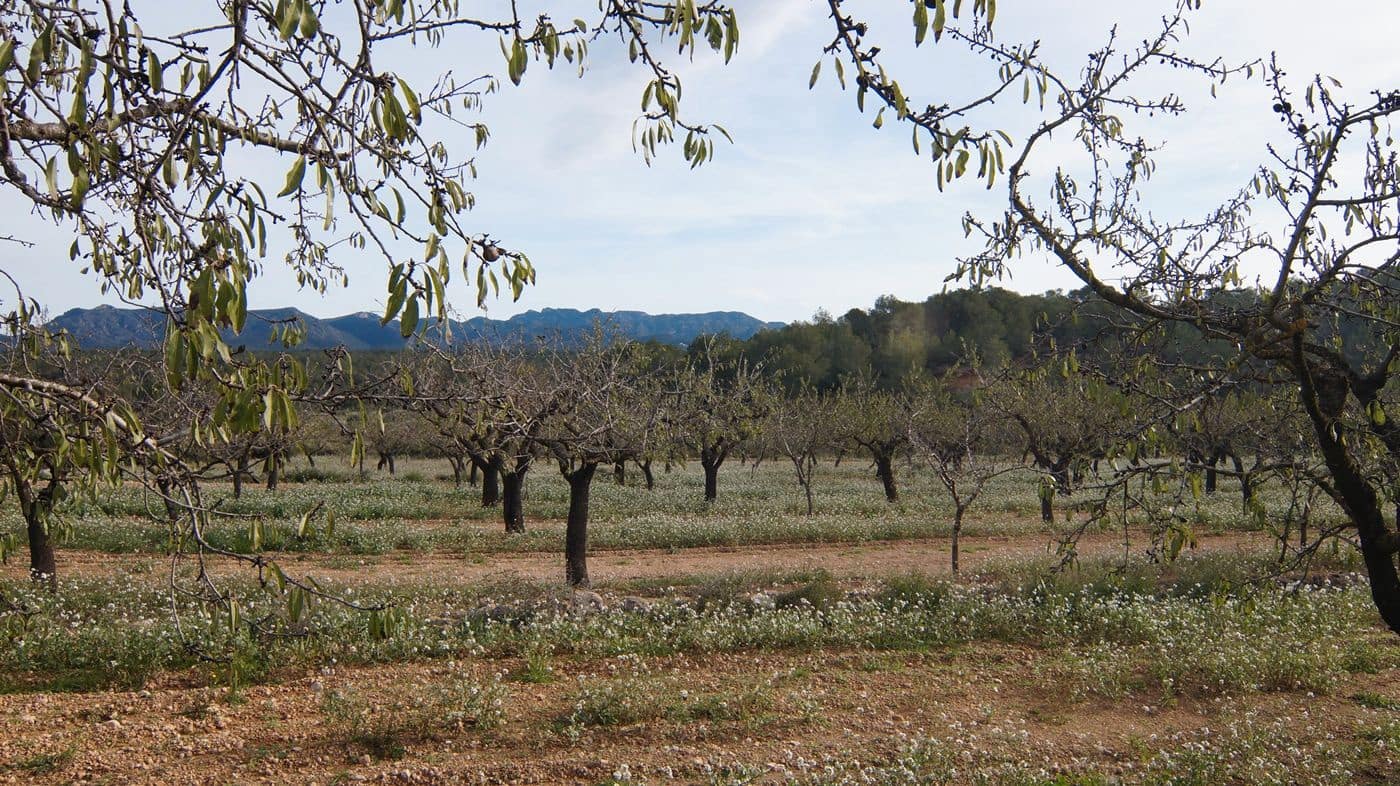 Finka/Dom wiejski na sprzedaż w Rasquera - 35 000 € (Ref: 9617938)