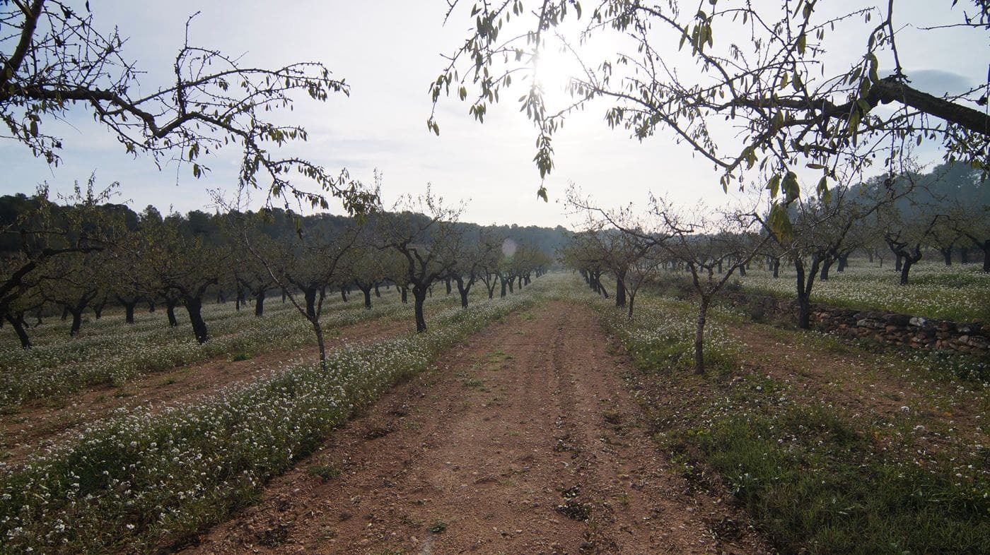 Finka/Dom wiejski na sprzedaż w Rasquera - 35 000 € (Ref: 9617938)