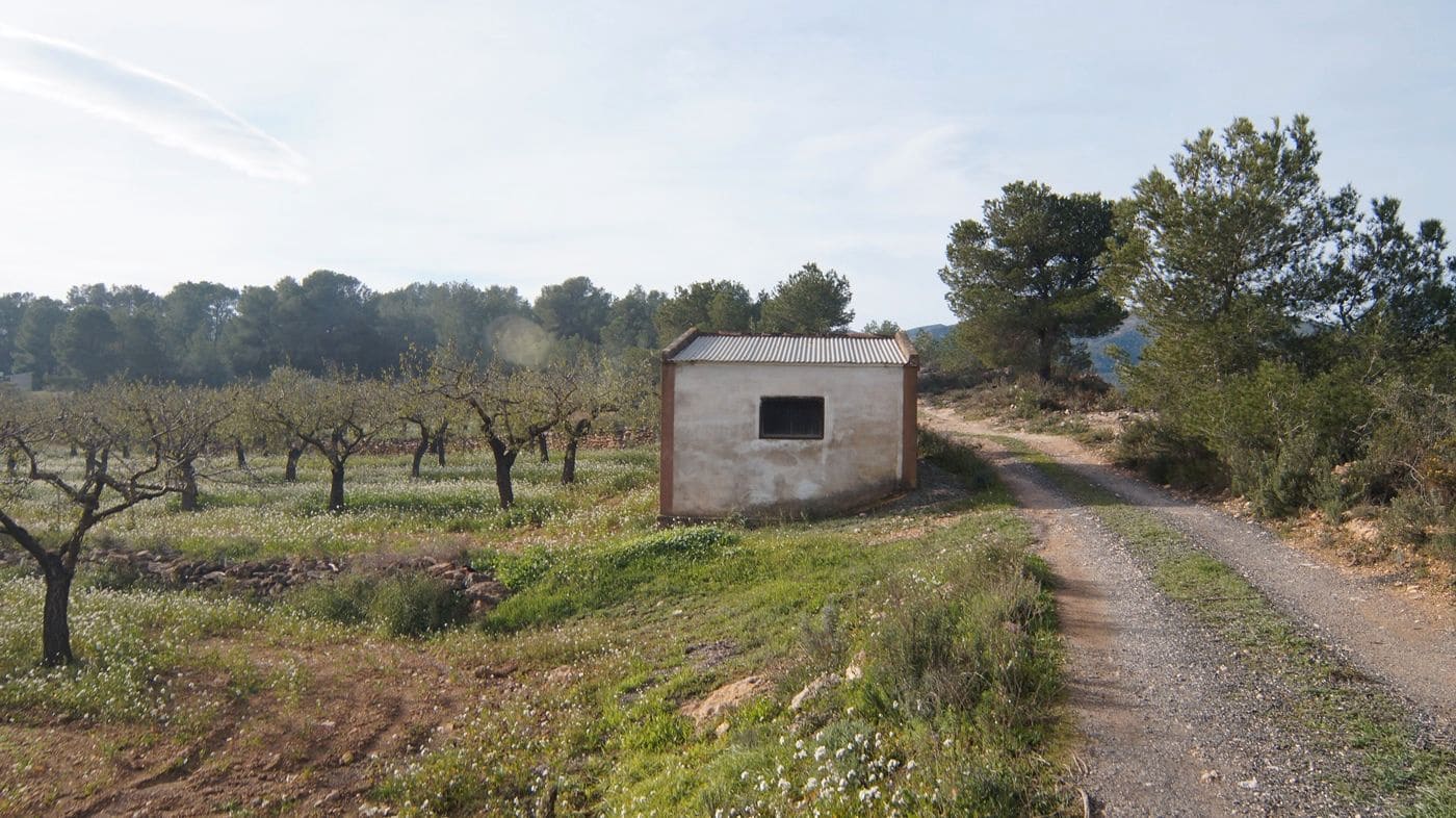 Finka/Dom wiejski na sprzedaż w Rasquera - 35 000 € (Ref: 9617938)