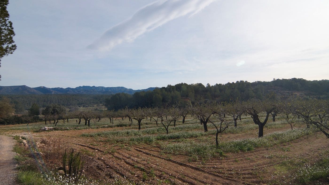 Finka/Dom wiejski na sprzedaż w Rasquera - 35 000 € (Ref: 9617938)