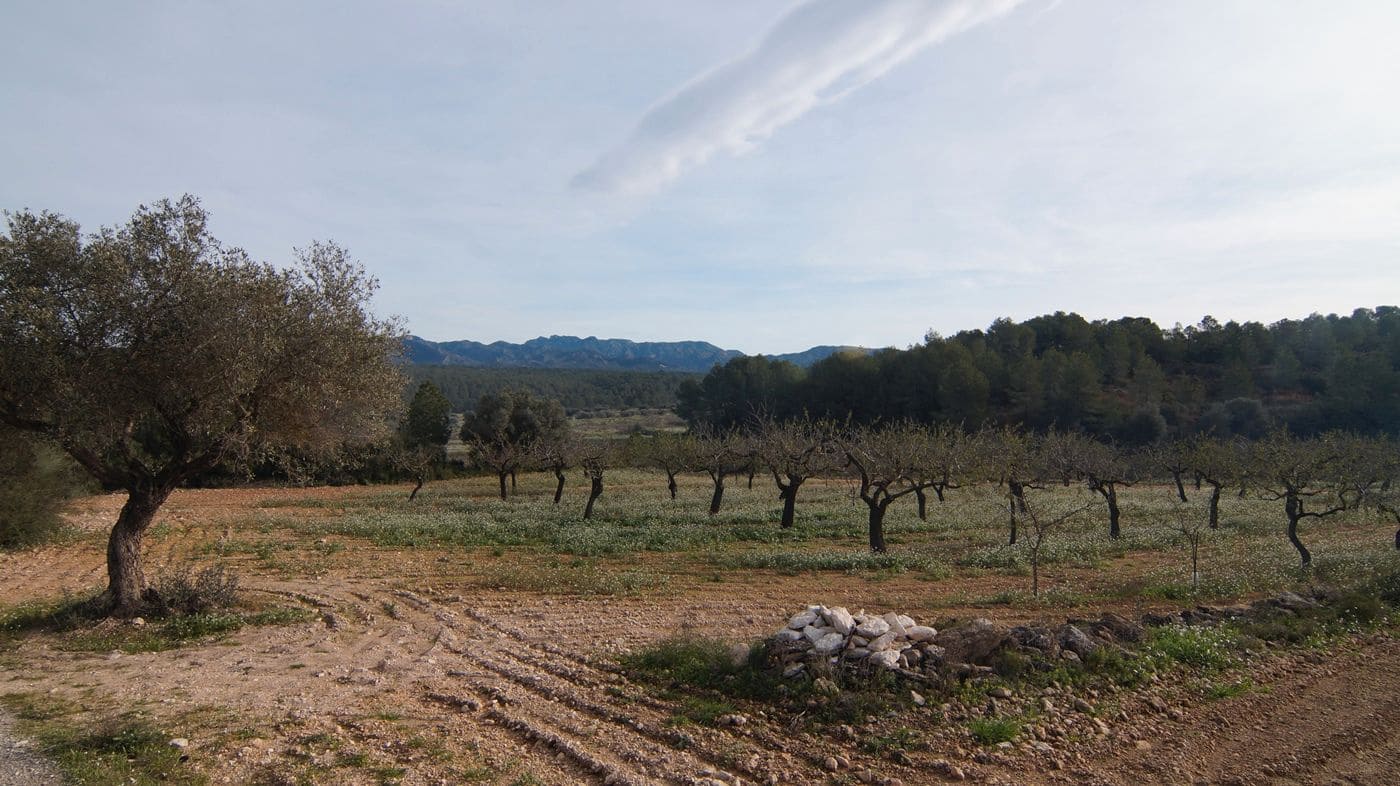 Finka/Dom wiejski na sprzedaż w Rasquera - 35 000 € (Ref: 9617938)