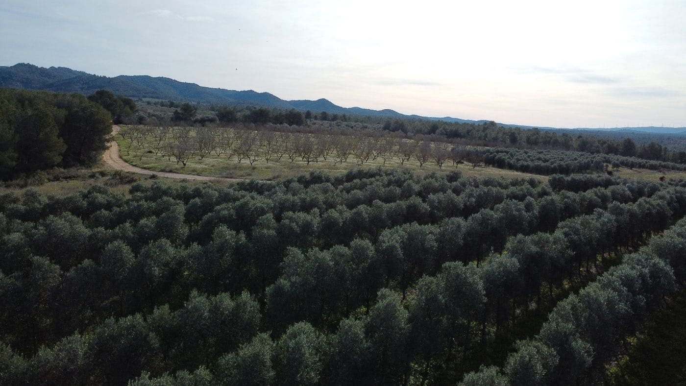 Finca/Country House for sale in Tivissa - € 950,000 (Ref: 9617939)